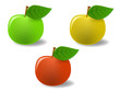 Vector: Set colored apples with leaf Set colored apples with leaf
