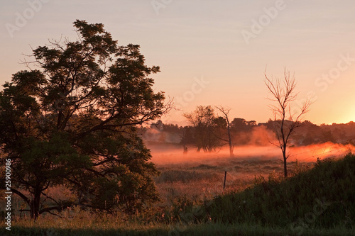 Photo: Misty Morning Misty Morning
