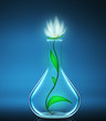 Flower in a glass flask