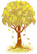 Autumn tree