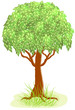 Green tree