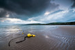 Yellow Beach Buoys
