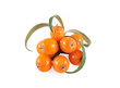 sea buckthorn isolated on white background