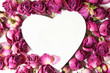 dry rose
