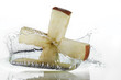 Apple cross dipping in water Apple cross dipping in water