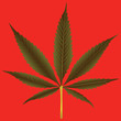 cannabis leaf against orange background
