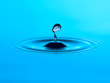 Just Dripping Just Dripping