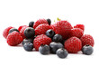berry fruits