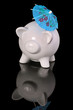 Photo: Summer savings Summer savings