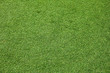 fake grassland are green , fake grassland are green ,