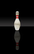 Bowling pin reflection