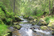 Schwarzwald