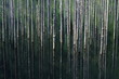 滝越の自然湖