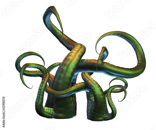 Illustration: Tentacles Tentacles