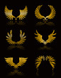 Set of Wings