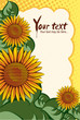 vector sunflower background