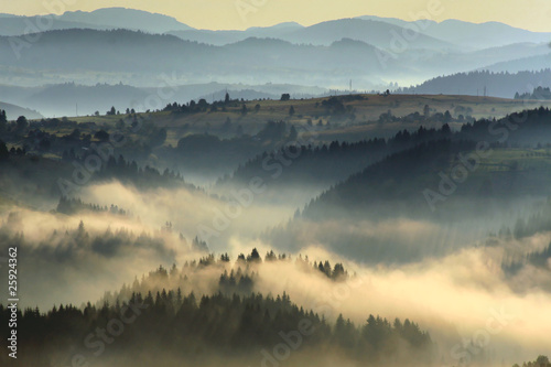 Photo: morning morning