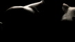 Video: Boxer Spars in the Dark (close) Boxer Spars in the Dark (close)
