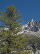 Chamonix, Monte Bianco