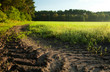 ground