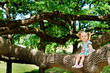 Happy cute girl sitting on branch huge tree Happy cute girl sitting on branch huge tree