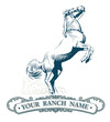 horse label vintage horse label vintage