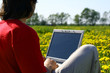 laptop nature work