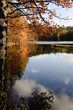 Autumn at the Lake