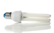 lightbulb