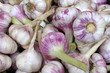 Foto: Knoblauch Knoblauch