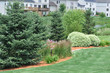 Backyard Landscaping