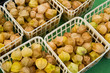 Ground cherries Ground cherries