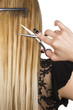 Photo: Blond hair and hairdresser's tools Blond hair and hairdresser's tools