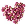 dry rose