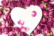 dry rose