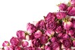 dry rose