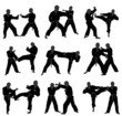 karate fighter