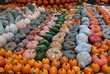Rows of Fall Color