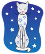 dreams white cat