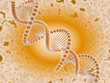 DNA