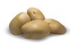 Potato vector illustration. Potato vector illustration.