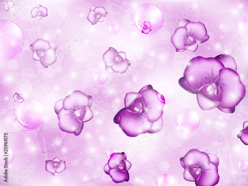 orchid background orchid background
