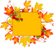 Fall frame