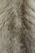 Fur texture