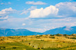 Rolling Hill Vineyards near Melnik, Bulgaria Rolling Hill Vineyards near Melnik, Bulgaria