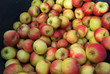 Äpfel