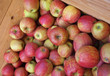 Äpfel