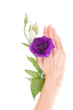 Foto: Hand and flower Hand and flower