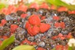 Torta nuziale 2