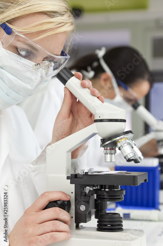 Photo: Female Scientific Research Team & Microscopes in a Laboratory Female Scientific Research Team & Microscopes in a Laboratory